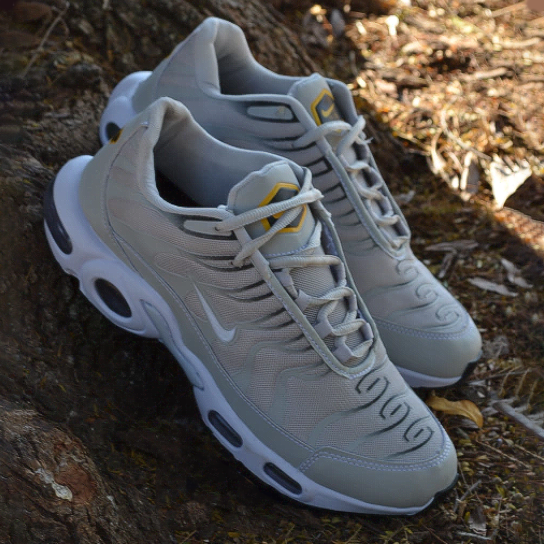 Air Max TN Plus - Cinza