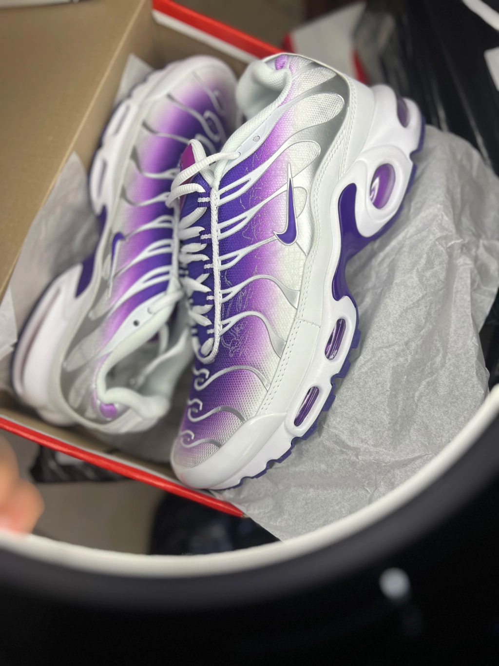 Air Max TN Purple Dragon