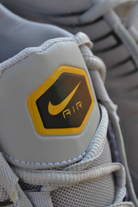 Air Max TN Plus - Cinza